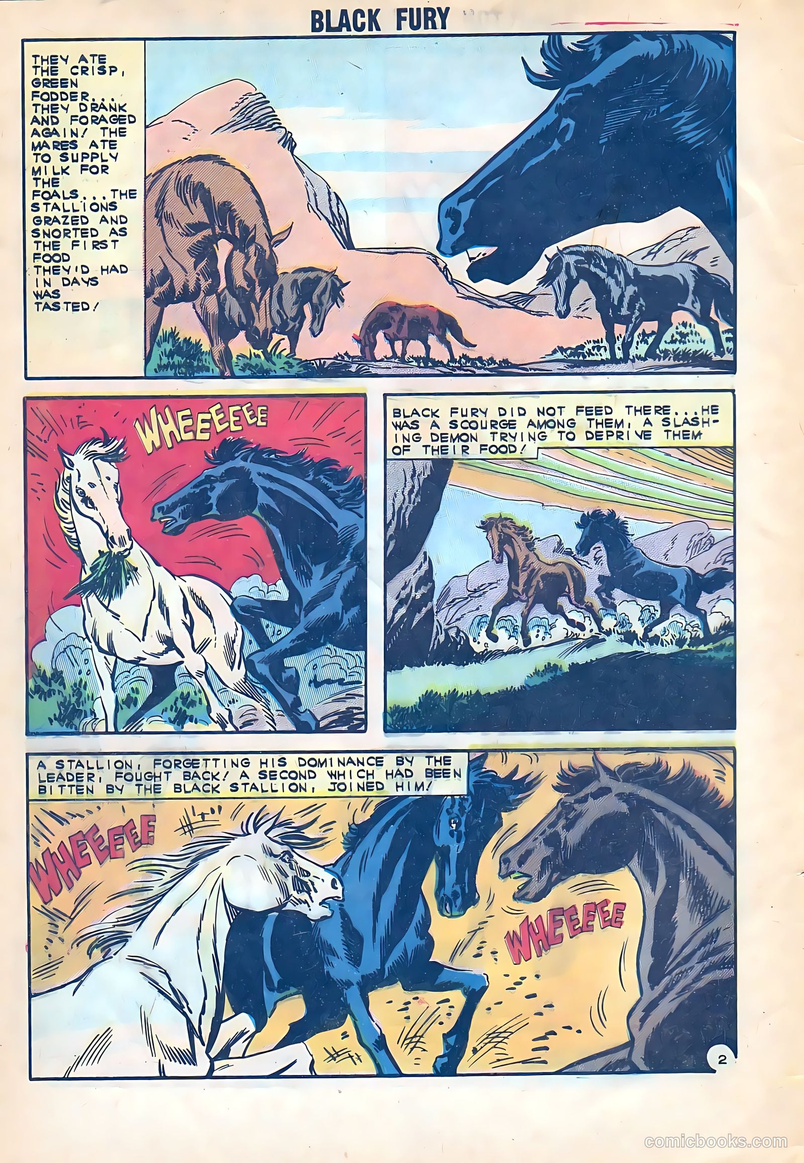 Black Fury #38 — page 4 of 36