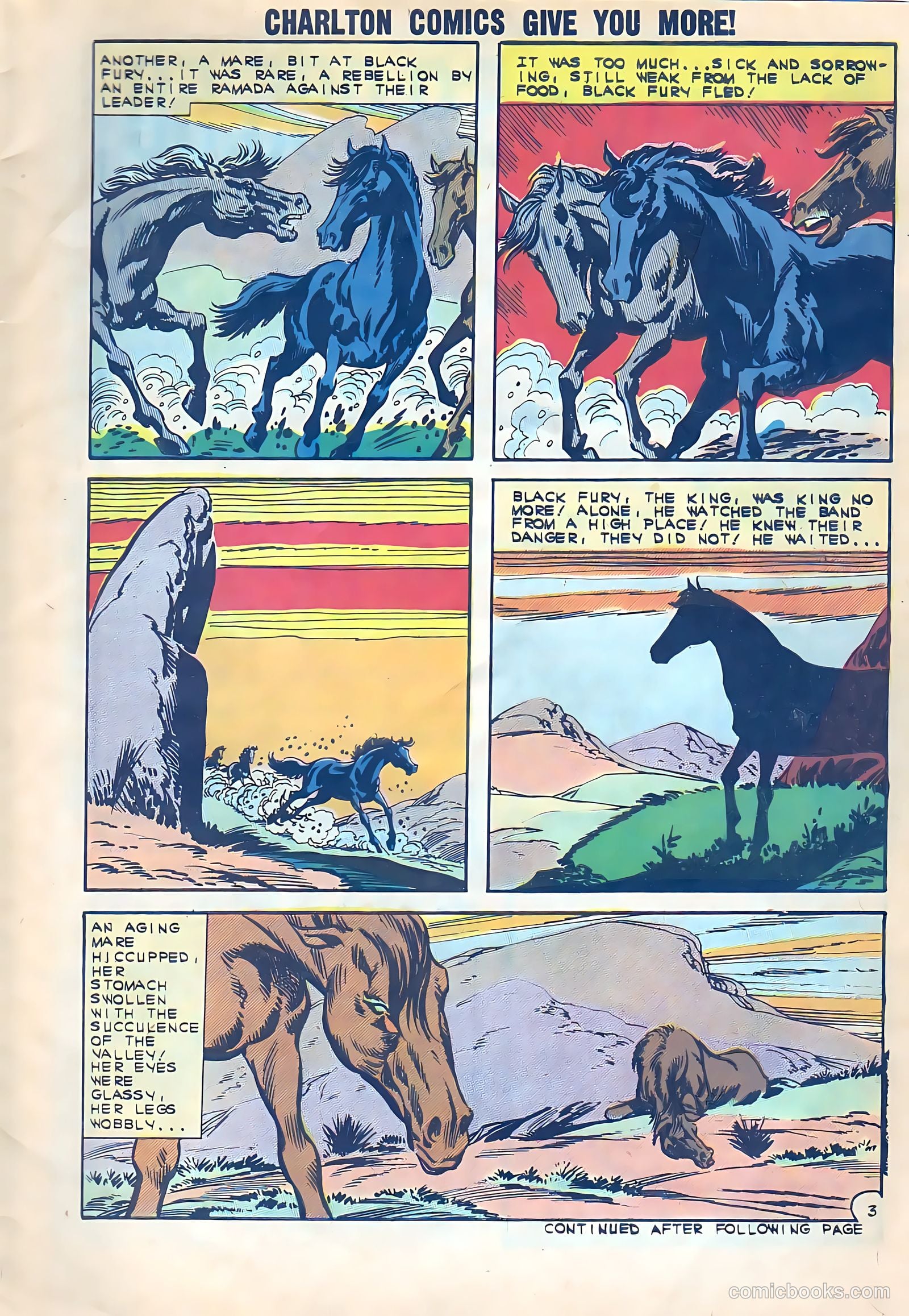 Black Fury #38 — page 5 of 36