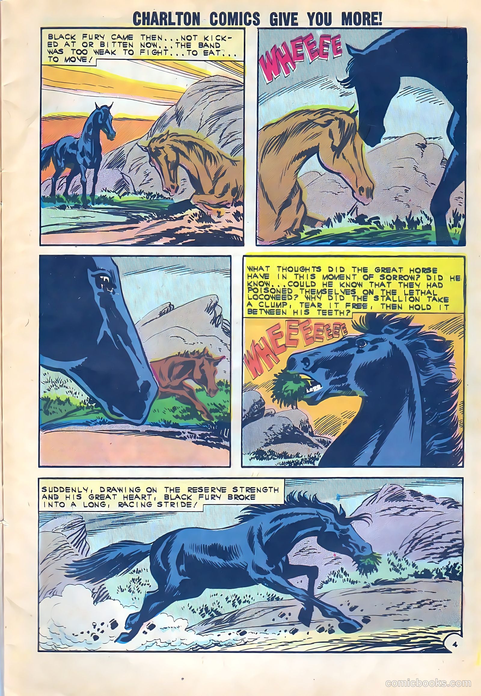Black Fury #38 — page 7 of 36