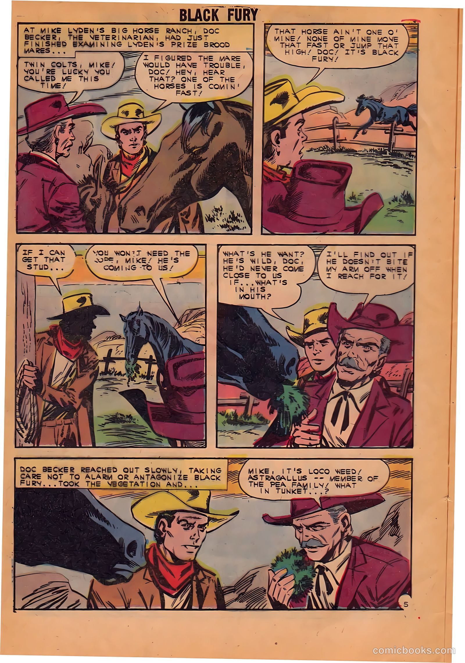 Black Fury #38 — page 8 of 36