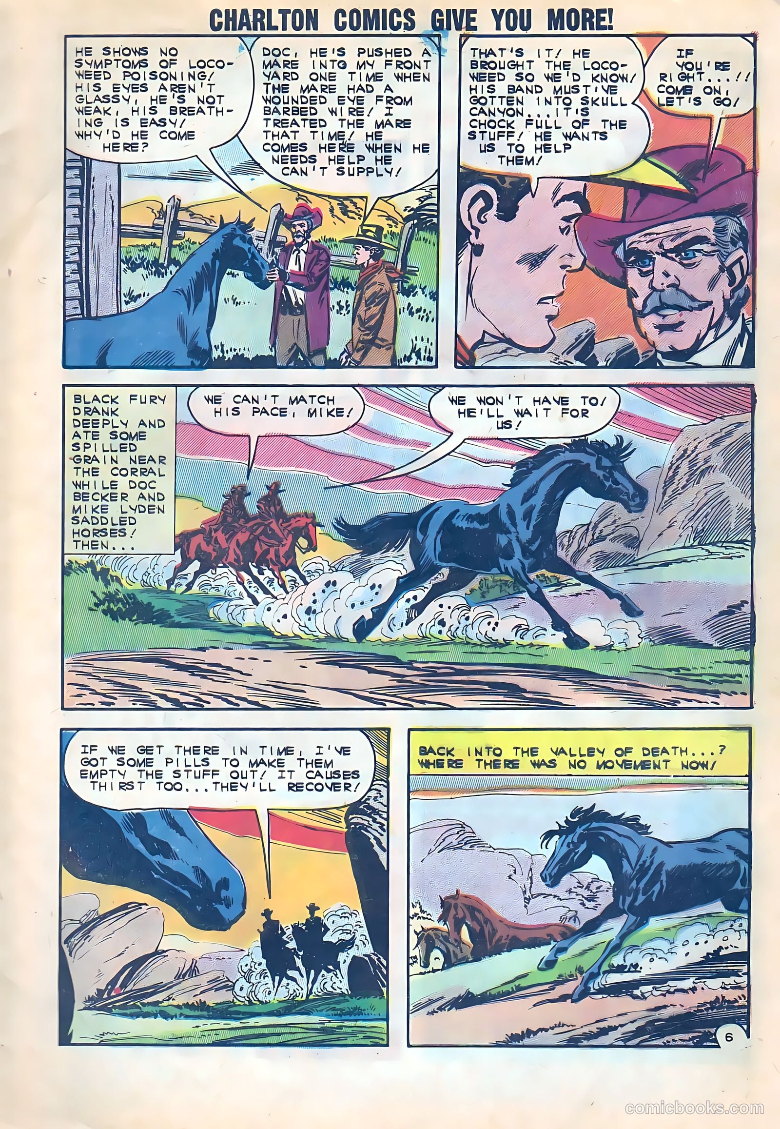 Black Fury #38 — page 9 of 36