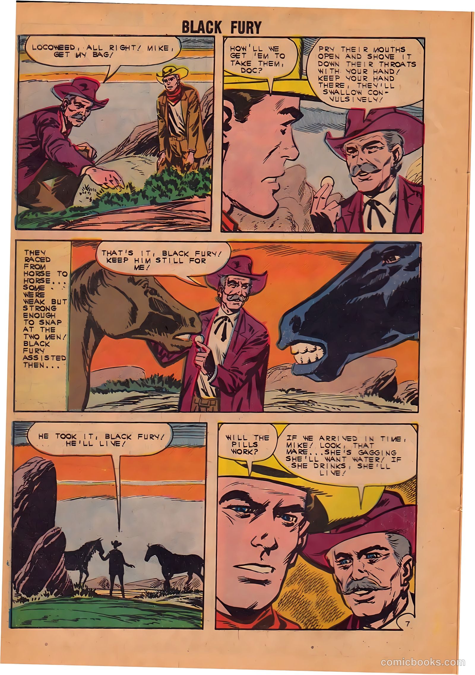 Black Fury #38 — page 10 of 36