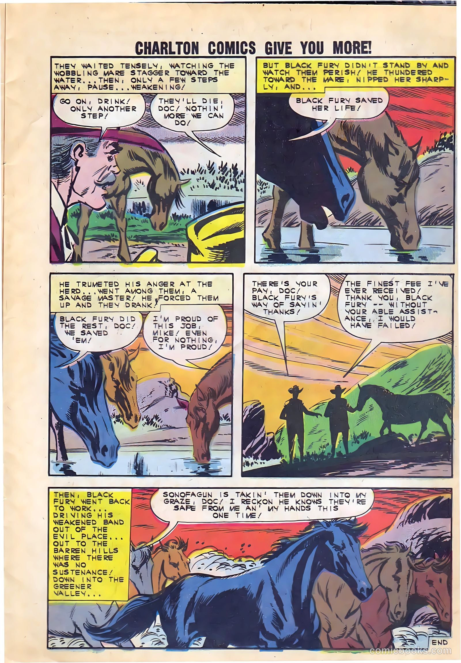 Black Fury #38 — page 11 of 36