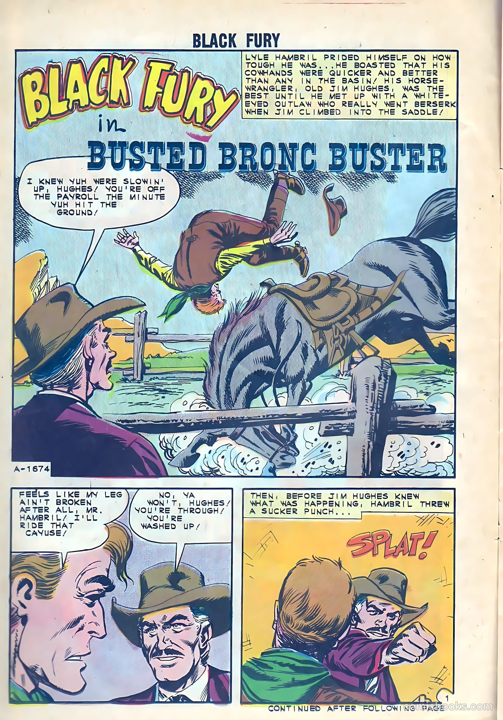 Black Fury #38 — page 14 of 36