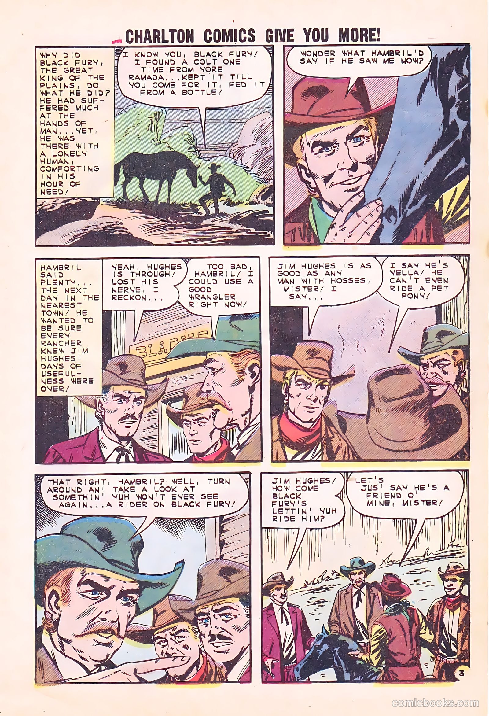 Black Fury #38 — page 17 of 36