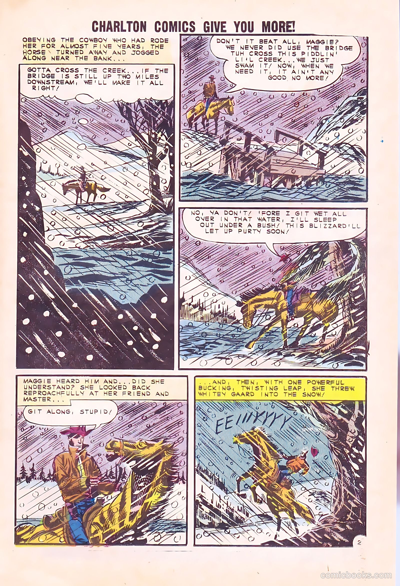 Black Fury #38 — page 23 of 36