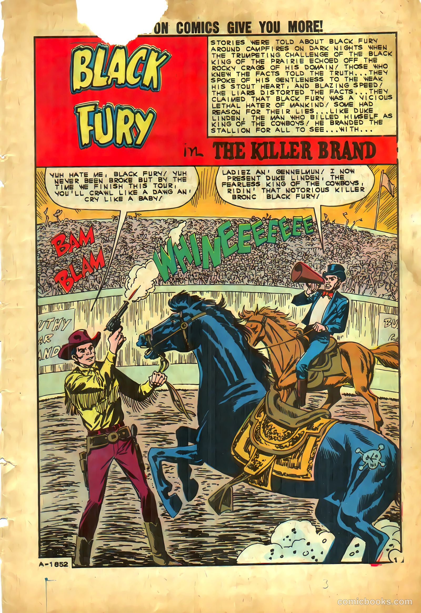 Black Fury #39 — page 3 of 36