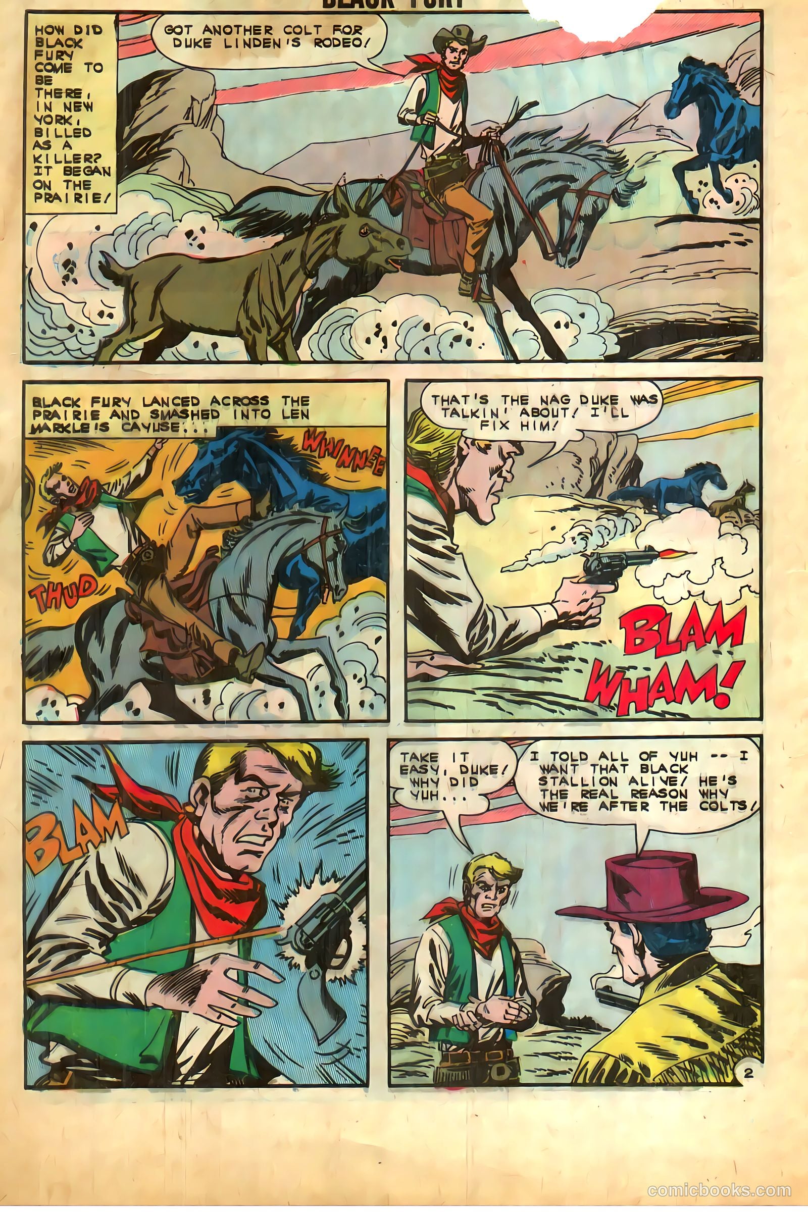 Black Fury #39 — page 4 of 36