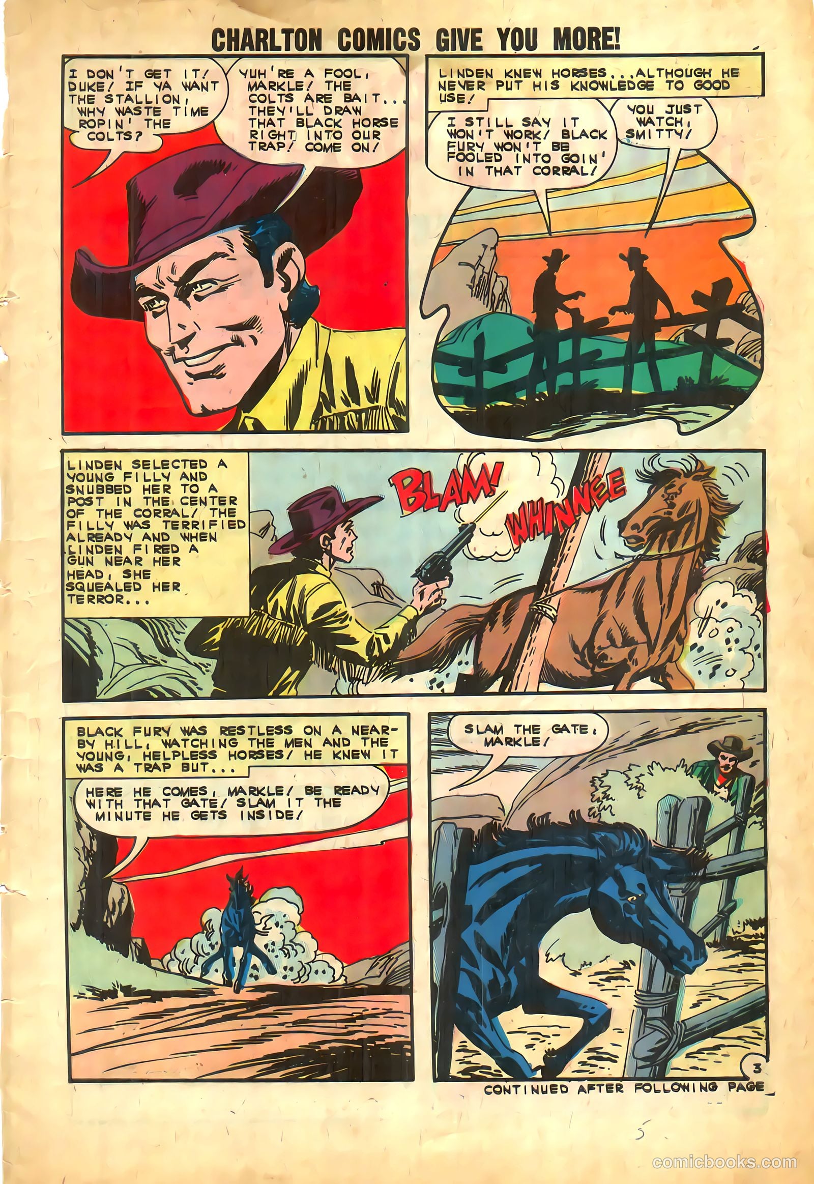 Black Fury #39 — page 5 of 36
