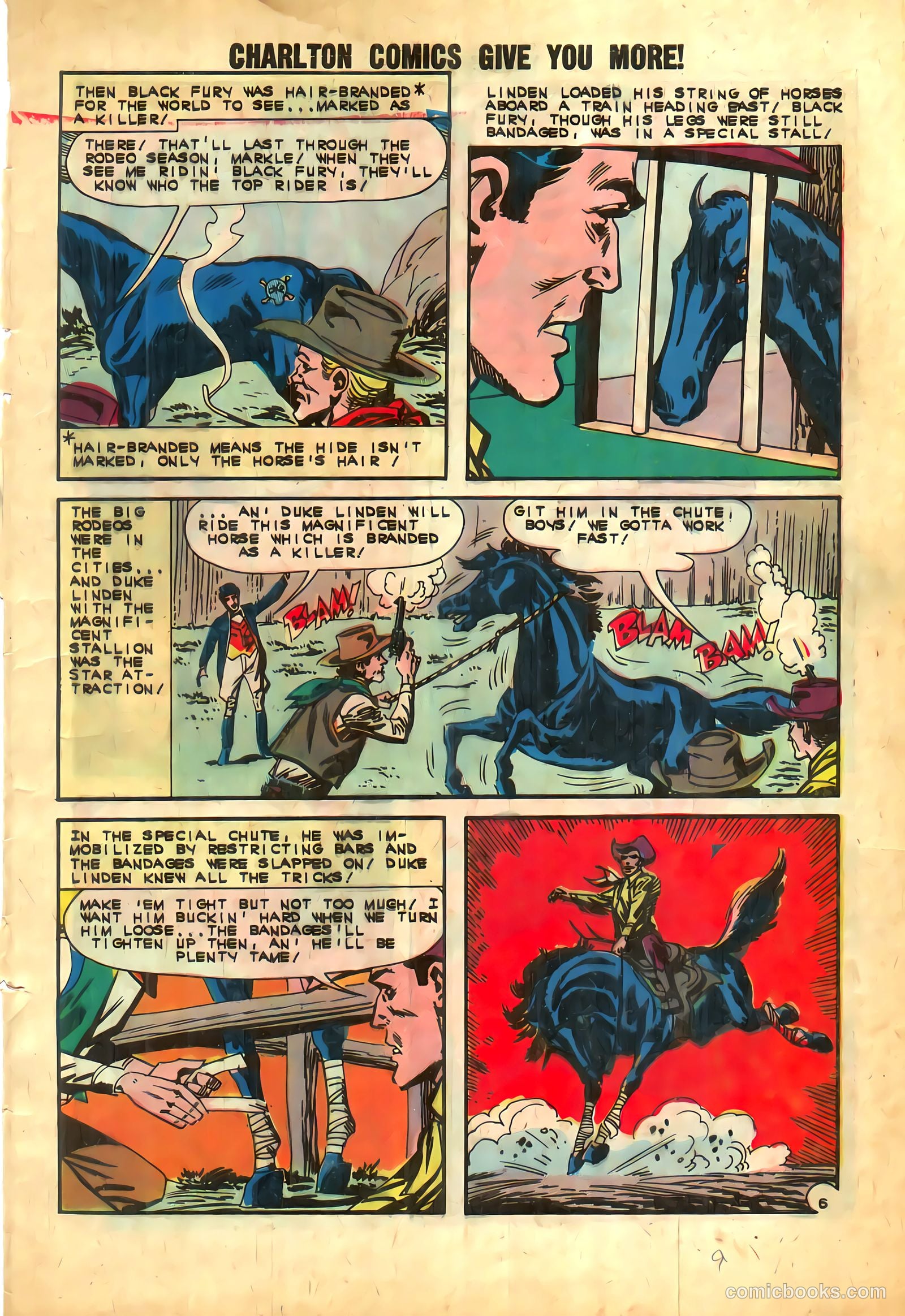 Black Fury #39 — page 9 of 36