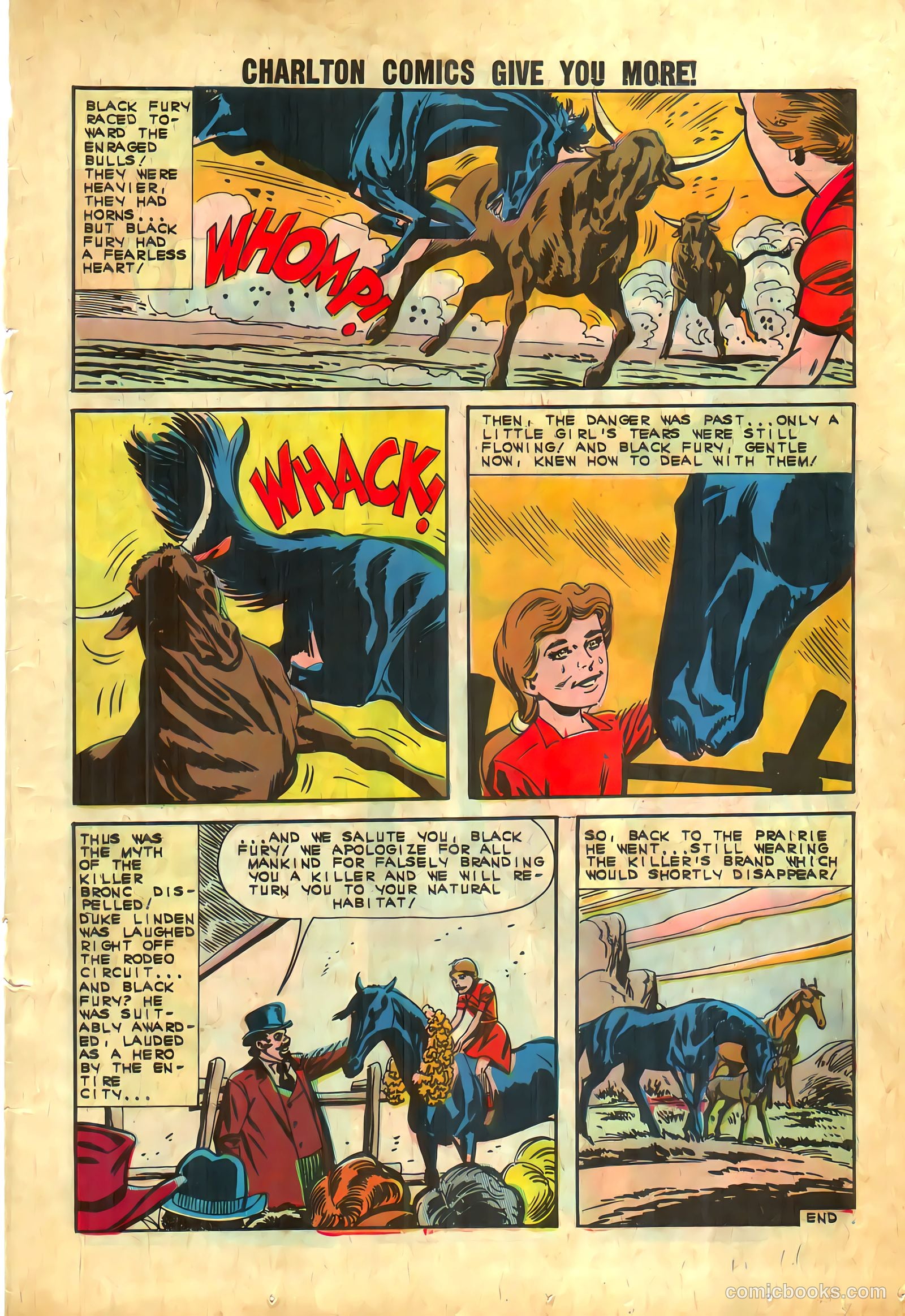 Black Fury #39 — page 11 of 36