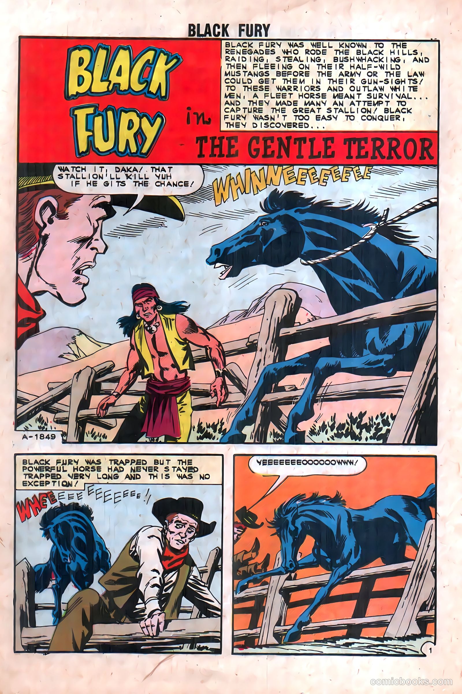 Black Fury #39 — page 20 of 36