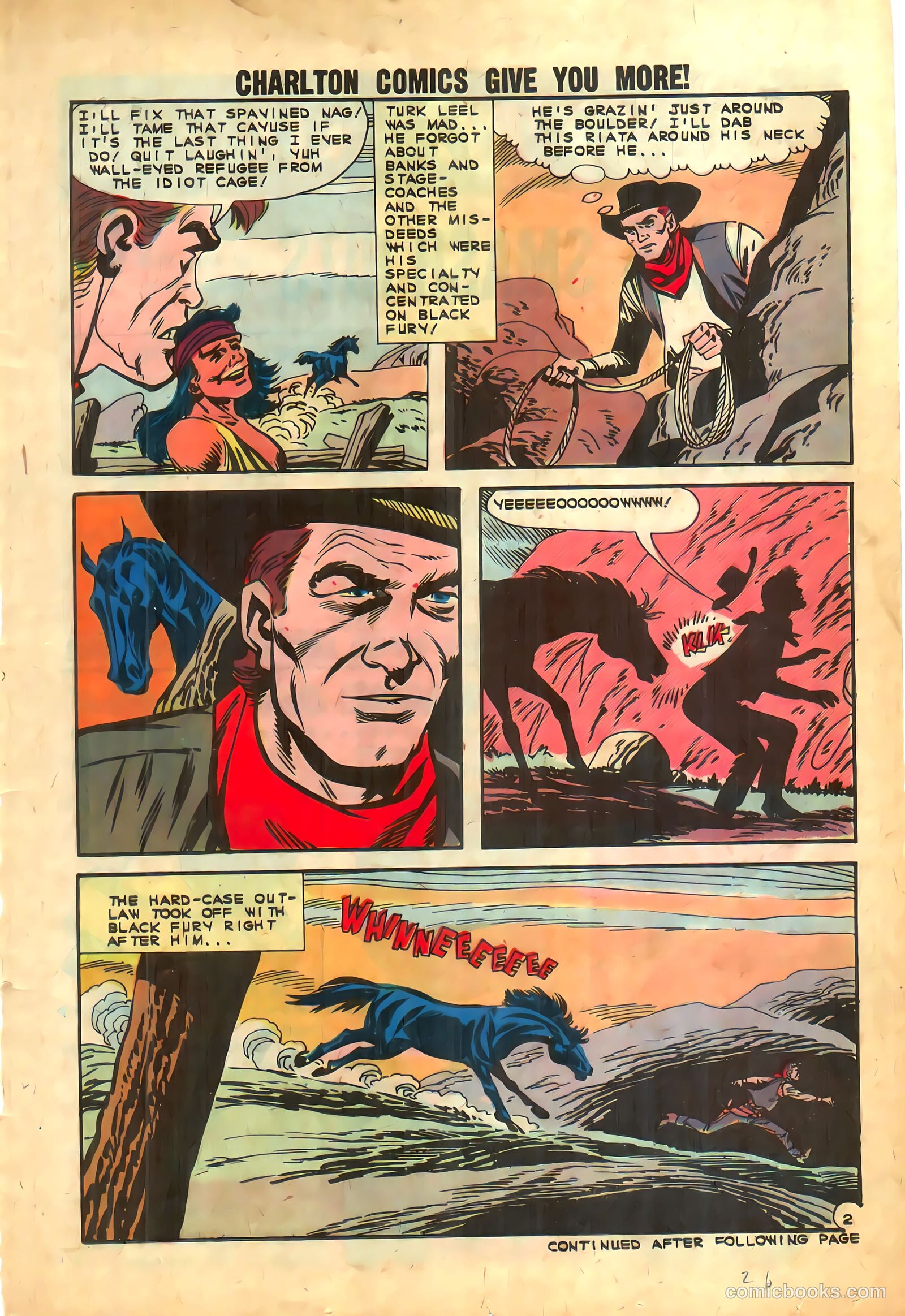 Black Fury #39 — page 21 of 36