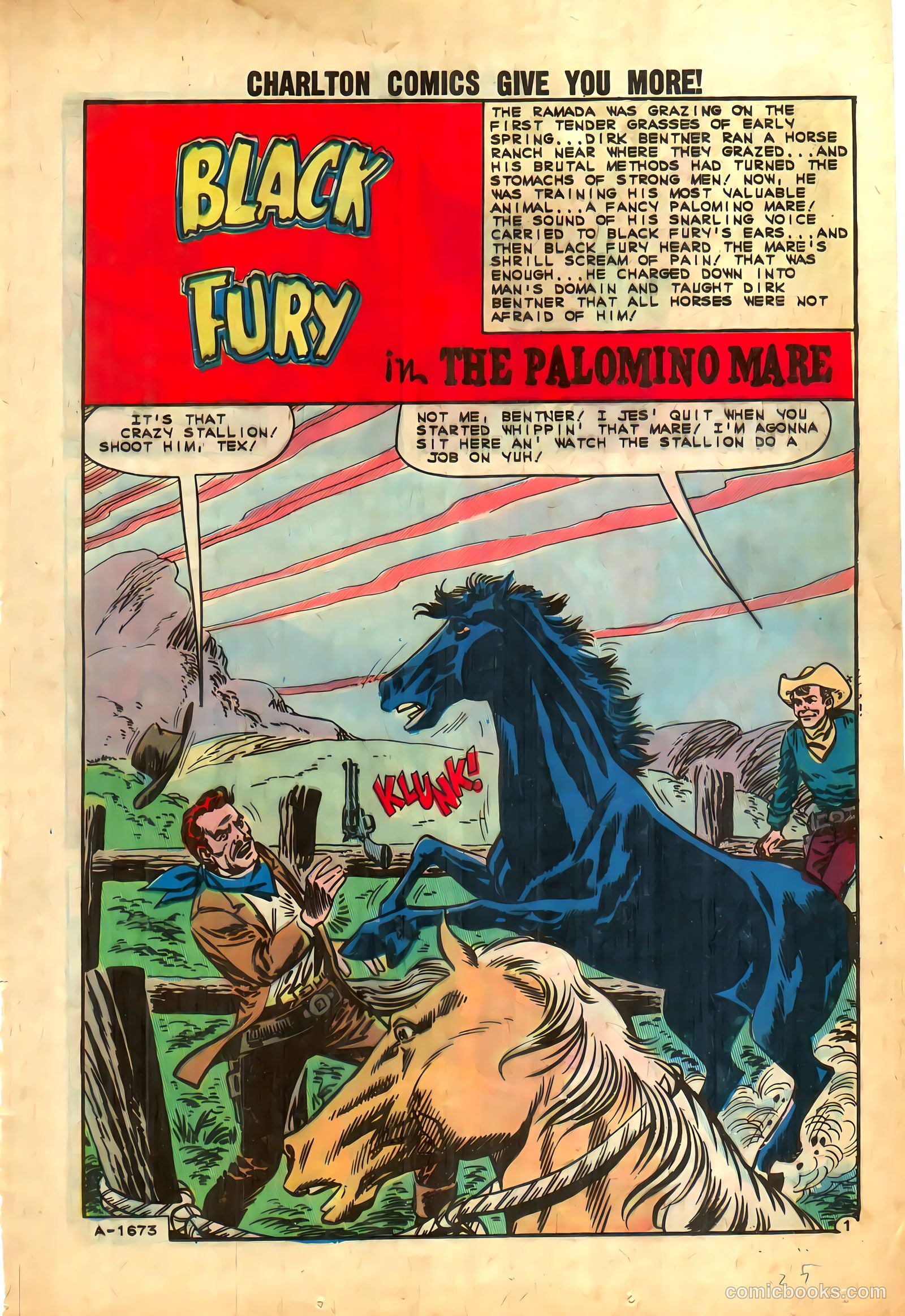 Black Fury #39 — page 25 of 36
