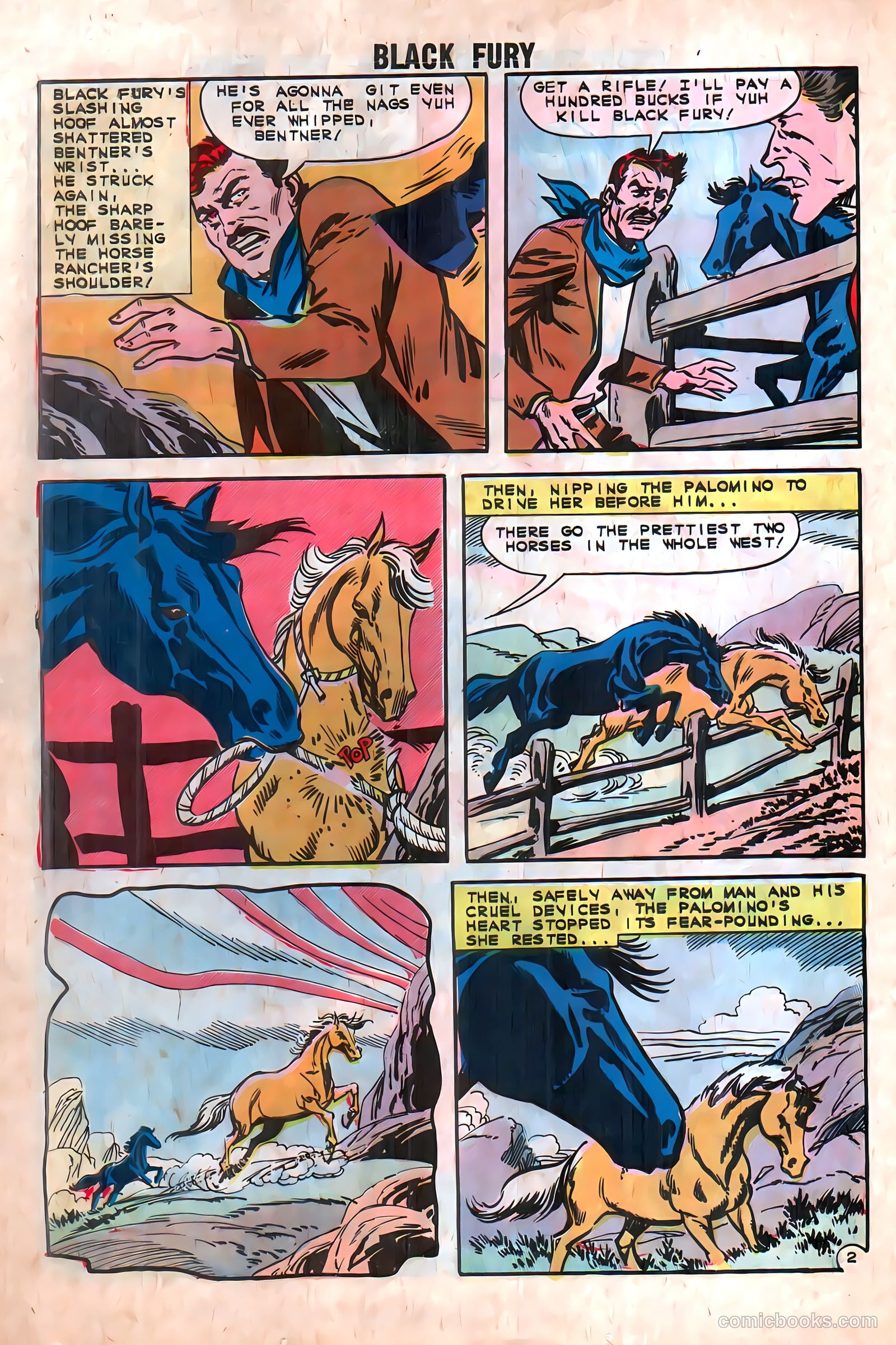 Black Fury #39 — page 26 of 36