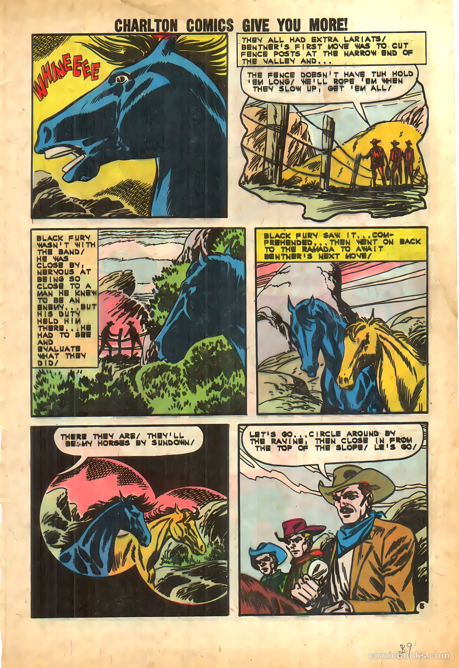 Black Fury #39 — page 29 of 36