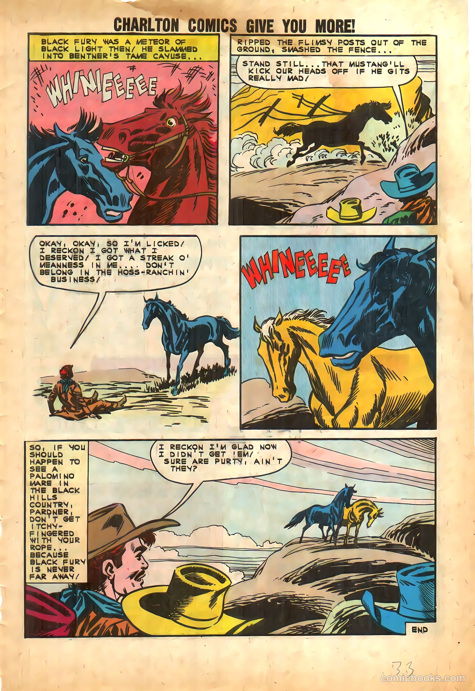 Black Fury #39 — page 33 of 36