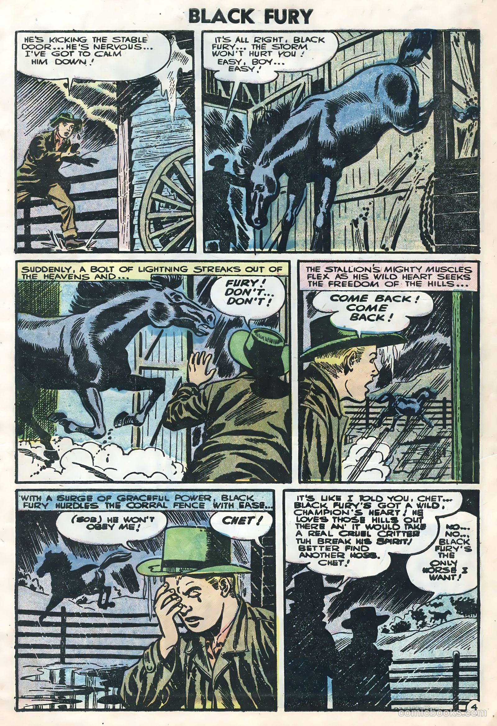 Black Fury #4 — page 7 of 36