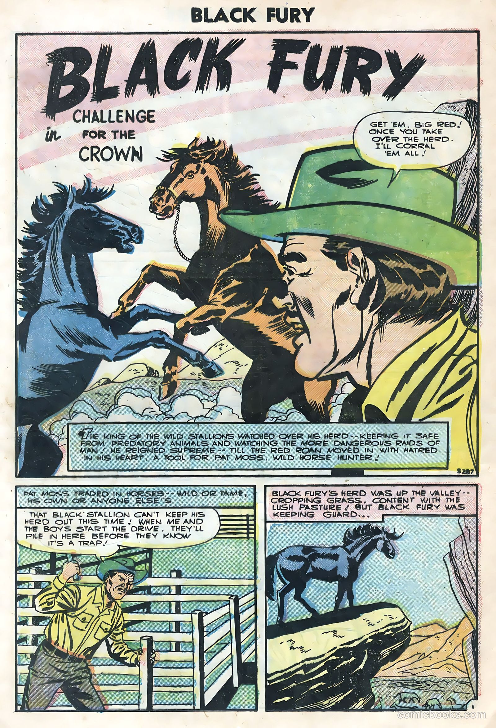 Black Fury #4 — page 13 of 36