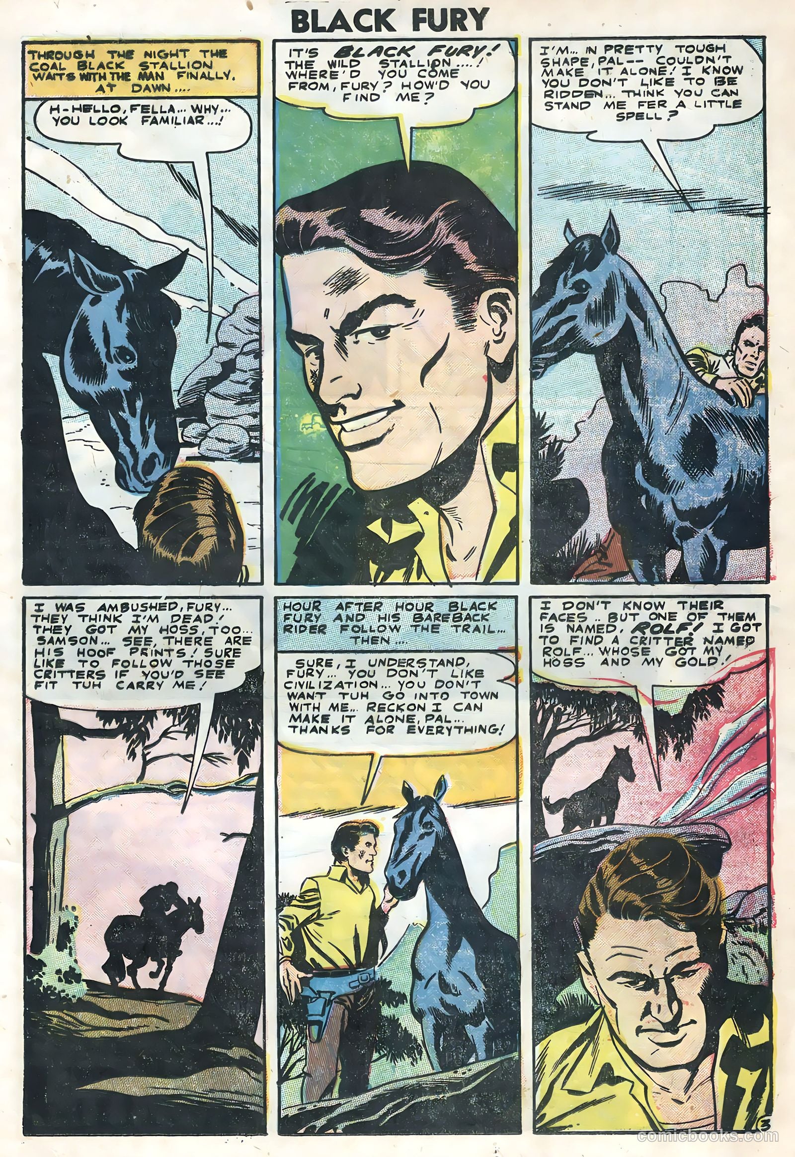 Black Fury #4 — page 25 of 36