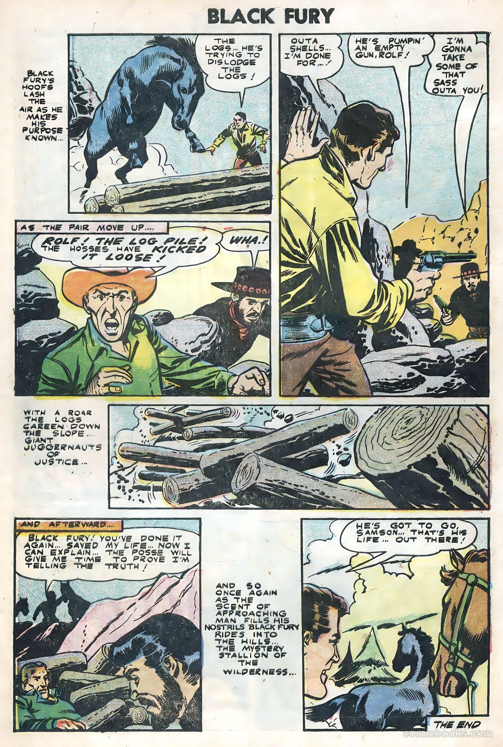 Black Fury #4 — page 28 of 36