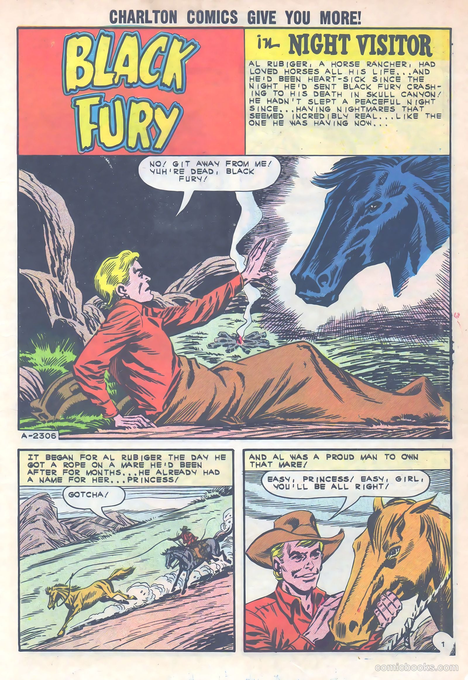 Black Fury #40 — page 3 of 36