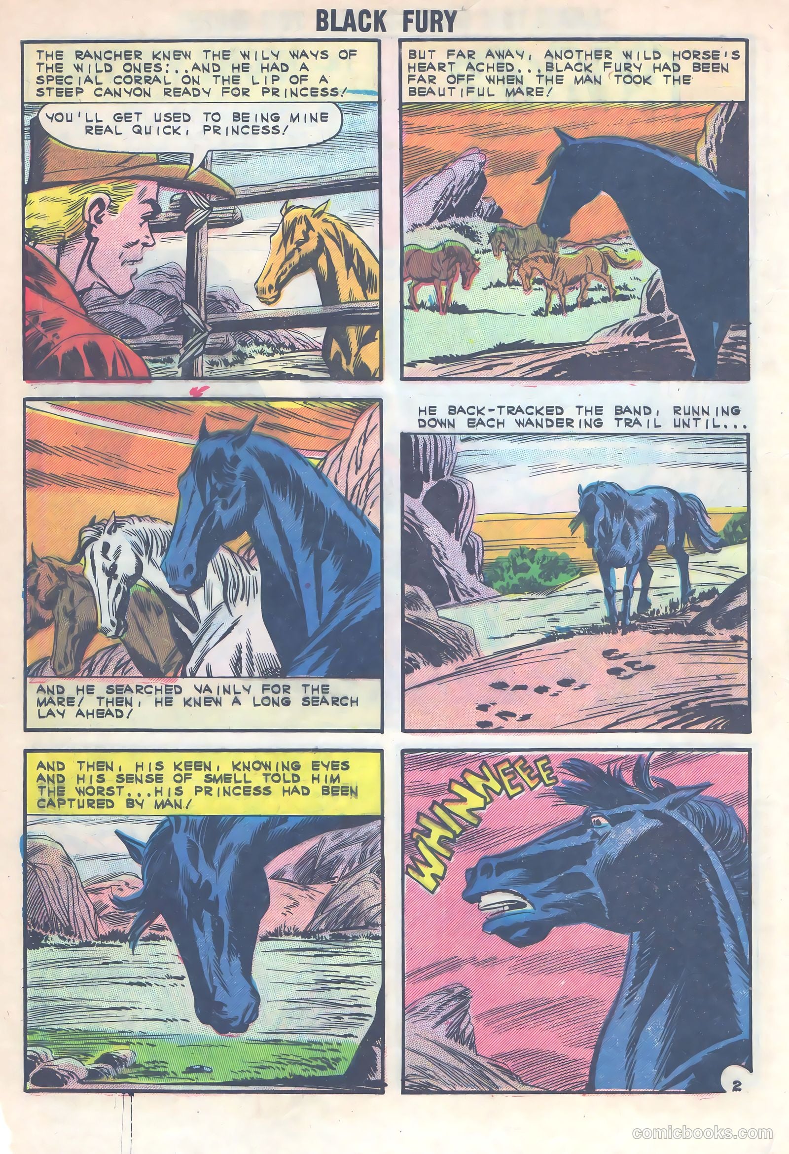Black Fury #40 — page 4 of 36