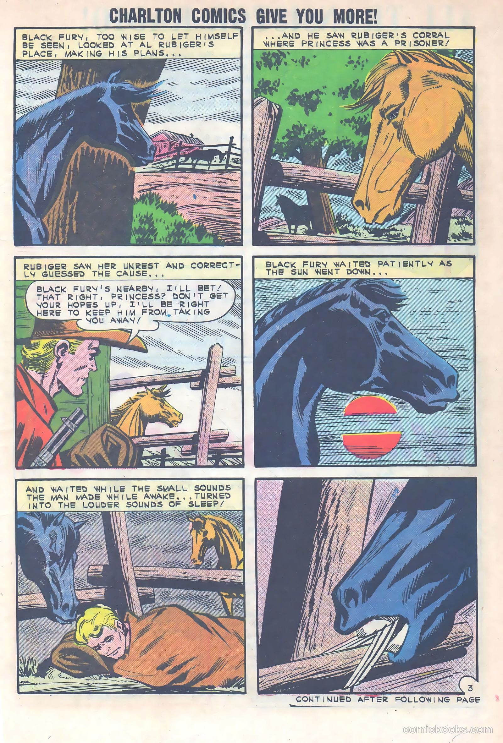 Black Fury #40 — page 5 of 36