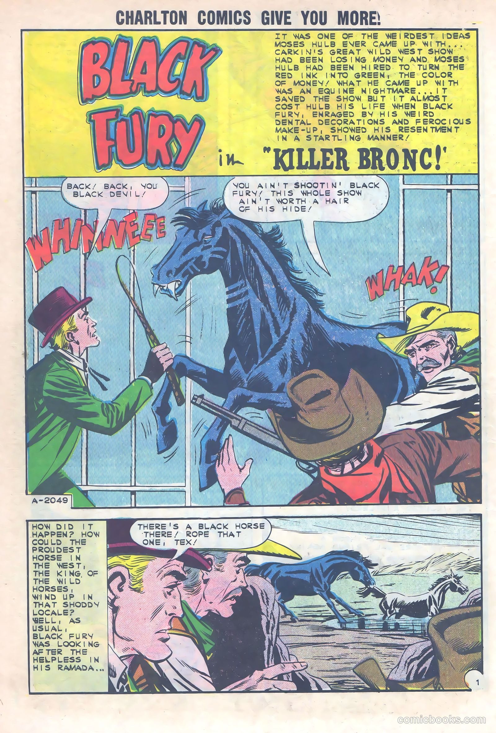 Black Fury #40 — page 10 of 36