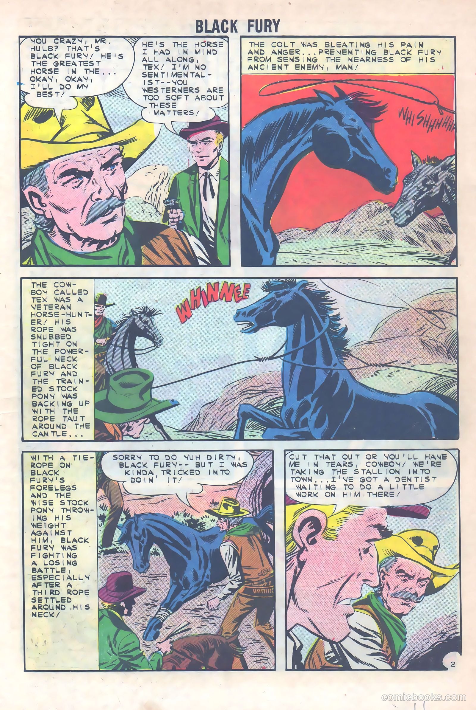 Black Fury #40 — page 11 of 36
