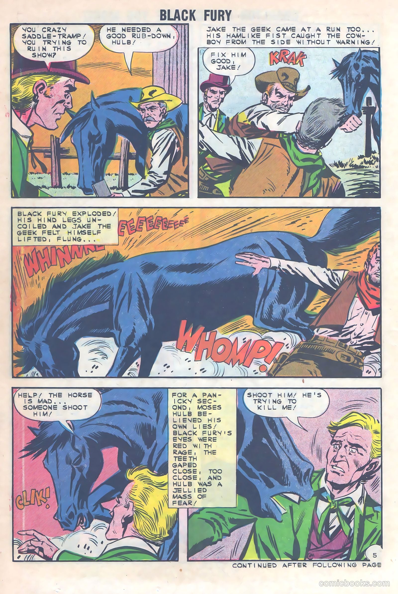 Black Fury #40 — page 14 of 36