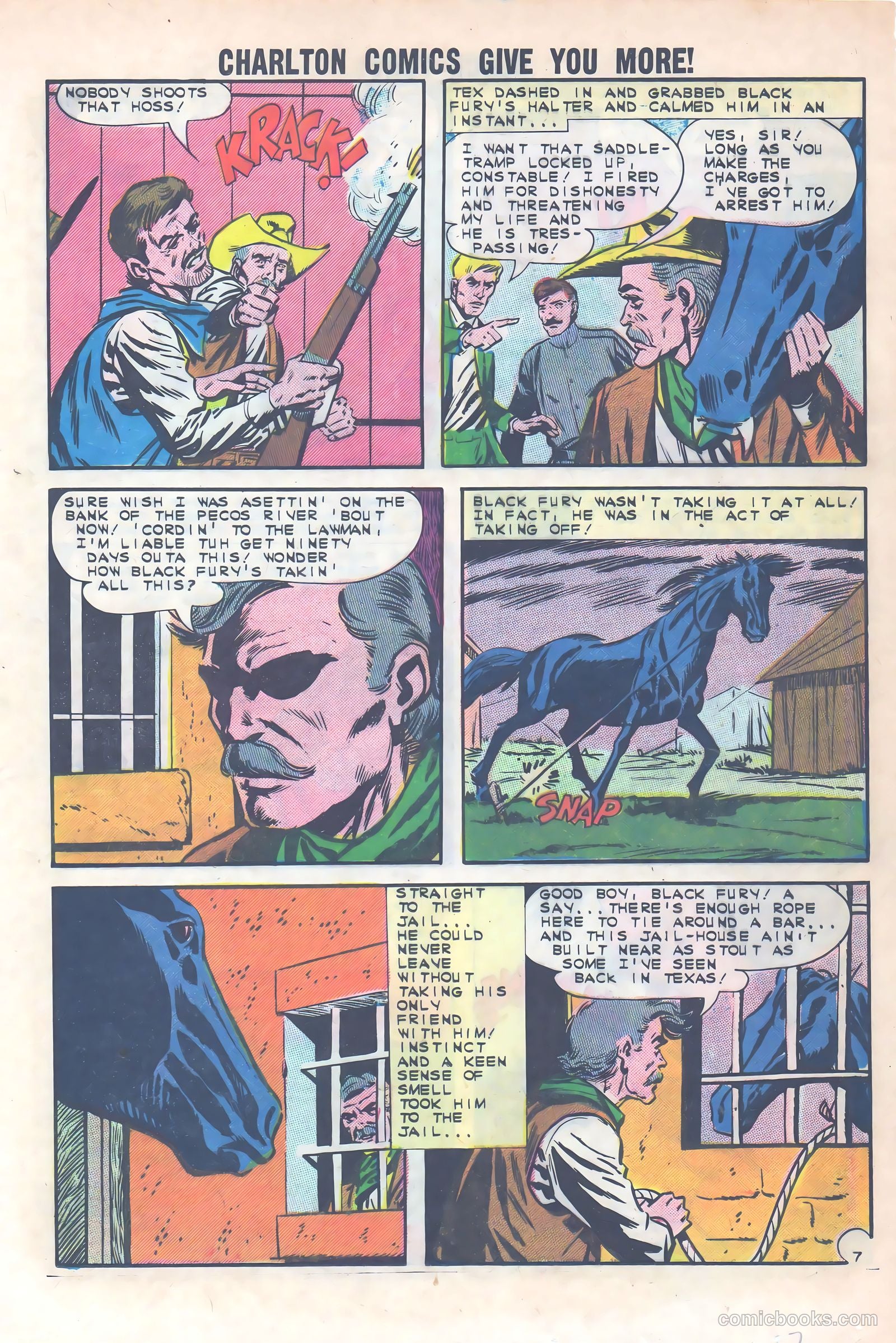 Black Fury #40 — page 17 of 36