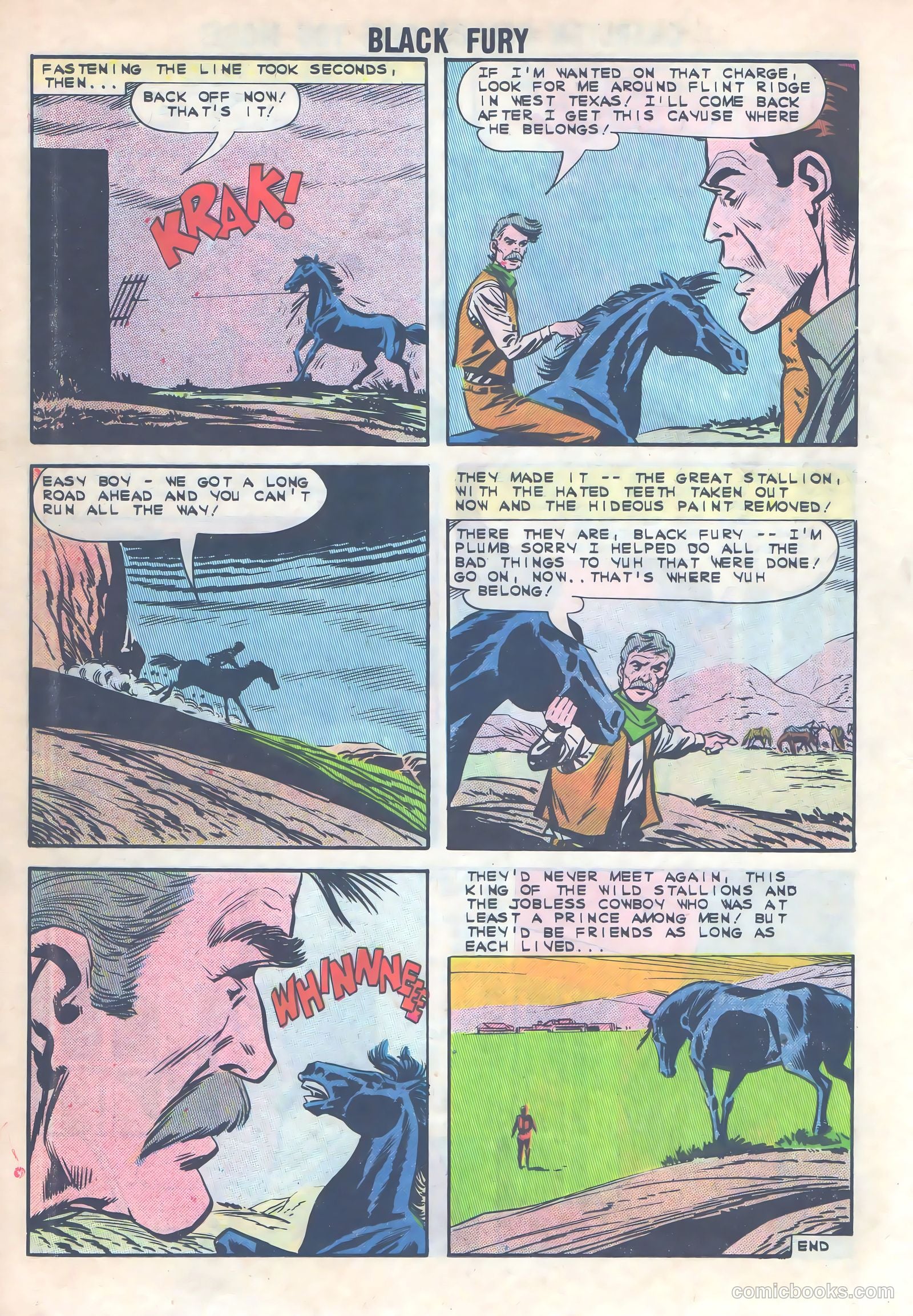 Black Fury #40 — page 18 of 36