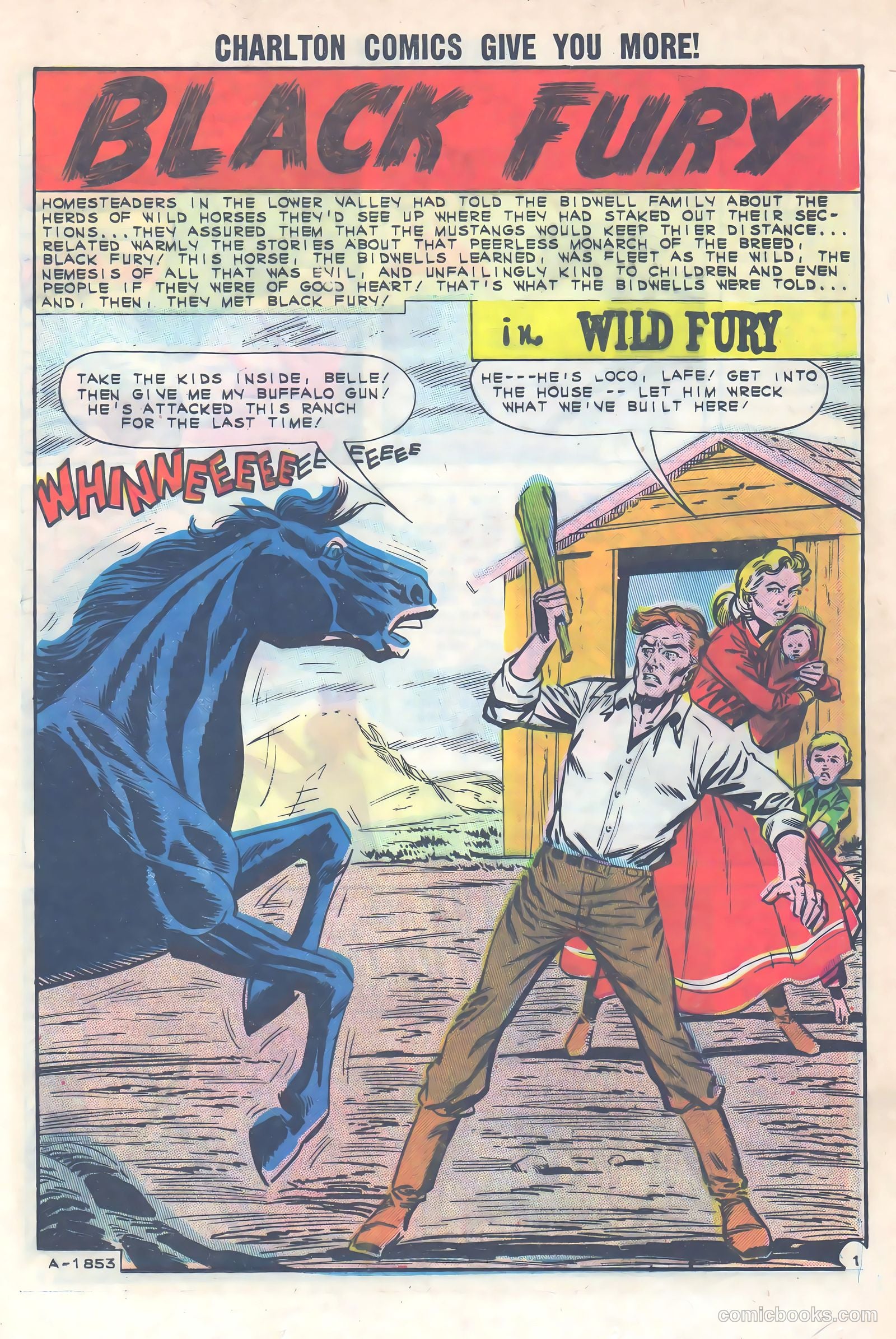 Black Fury #40 — page 25 of 36