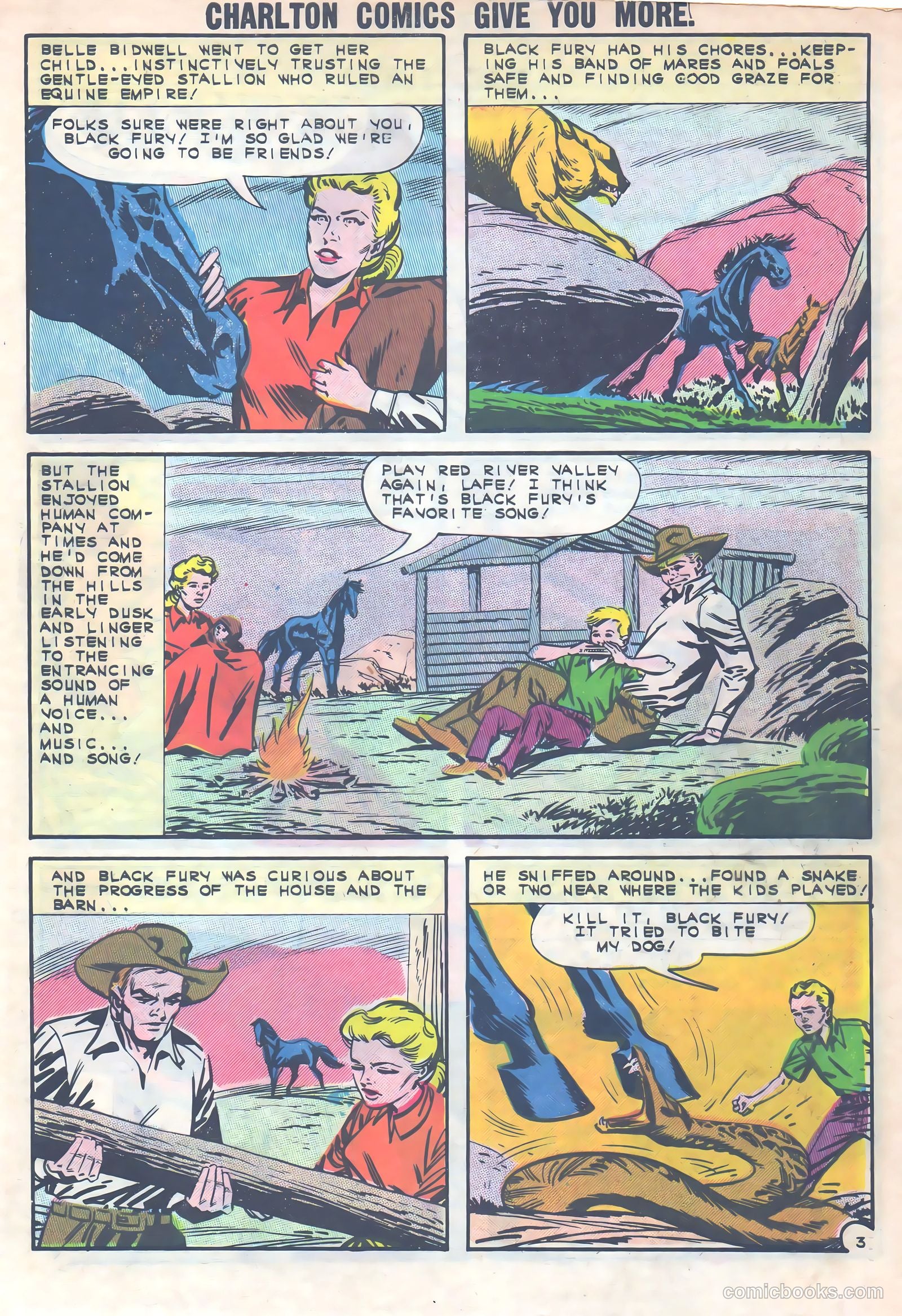 Black Fury #40 — page 27 of 36