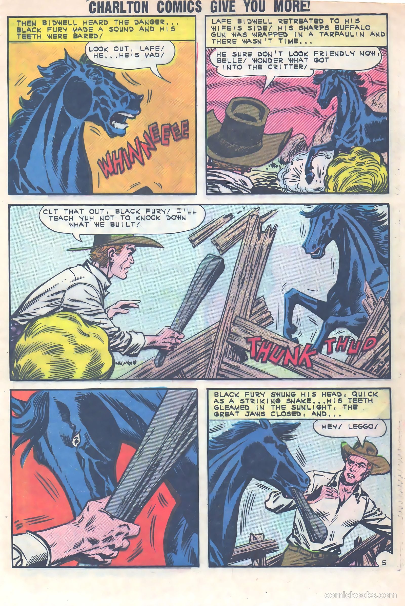 Black Fury #40 — page 29 of 36