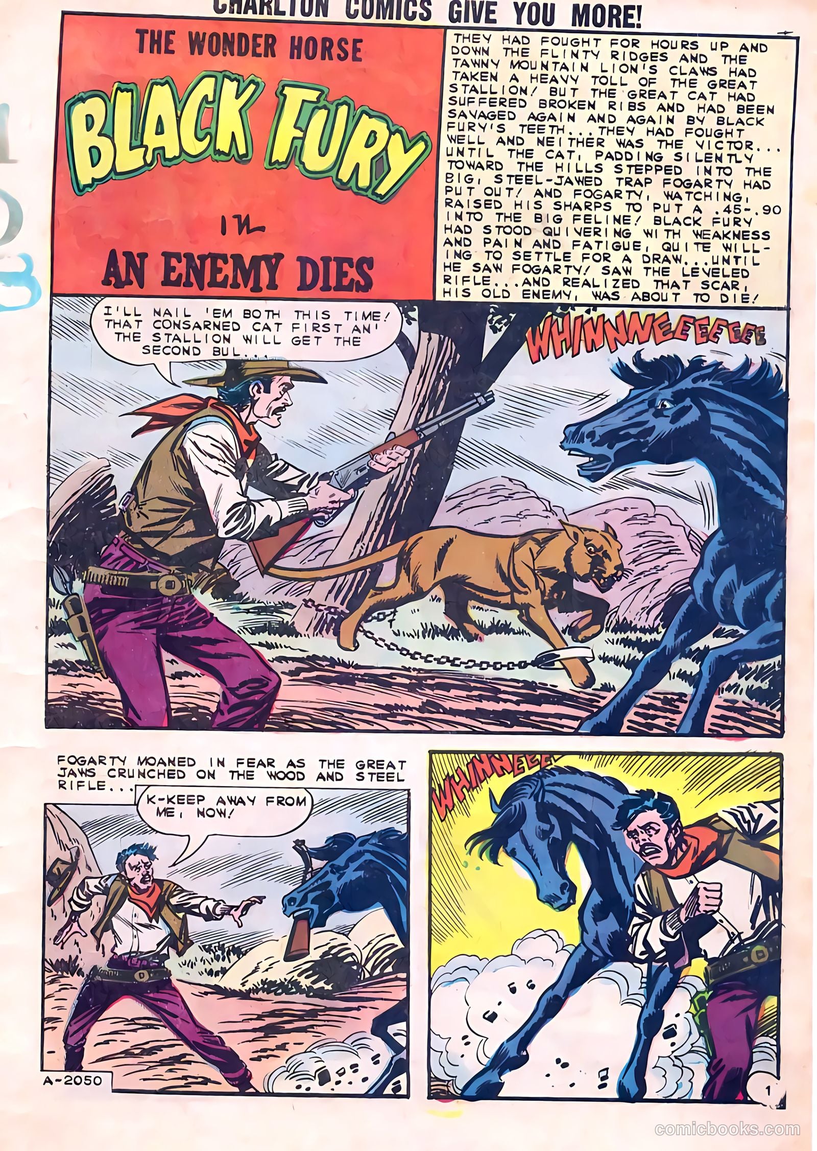 Black Fury #41 — page 3 of 36