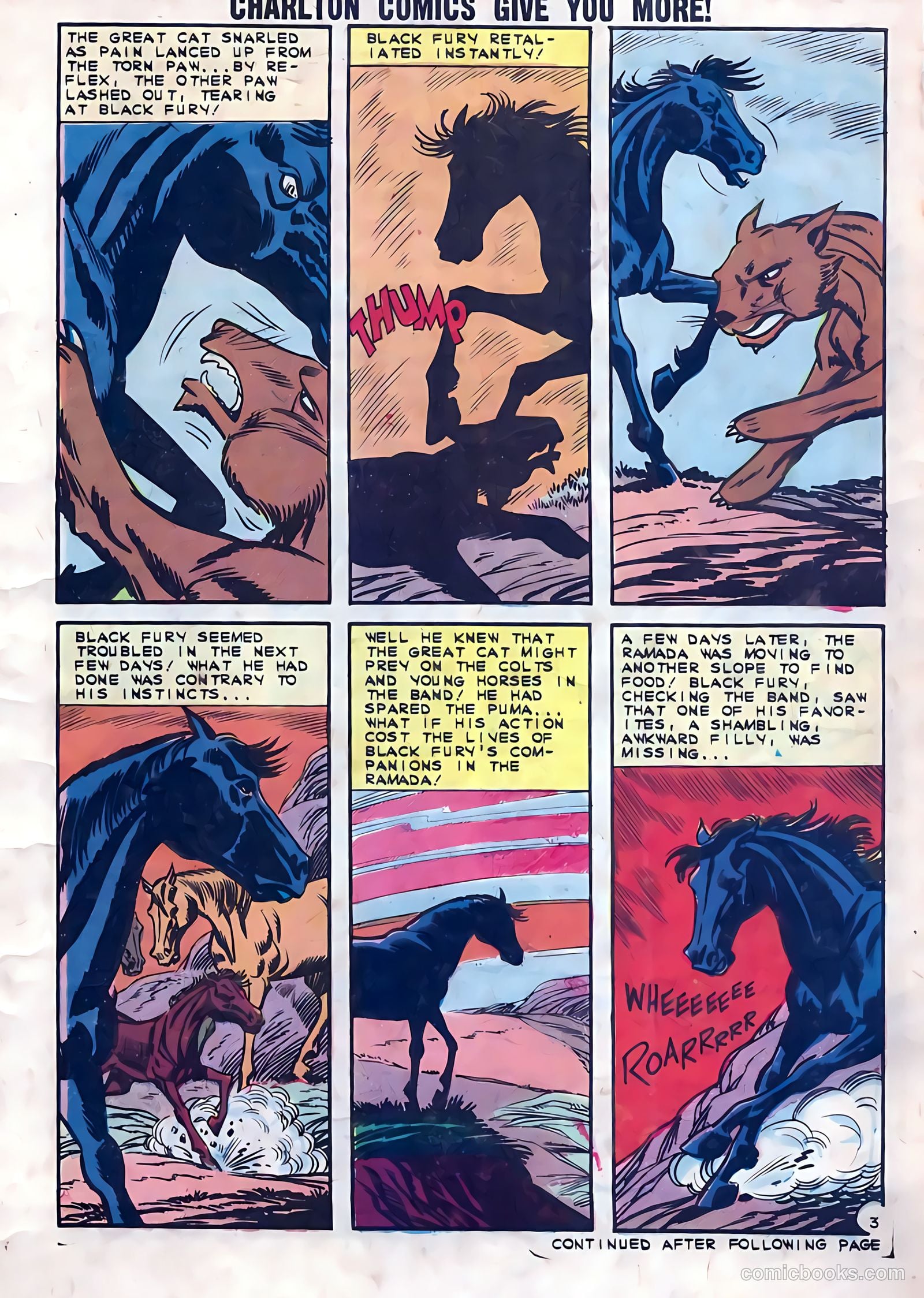 Black Fury #41 — page 5 of 36