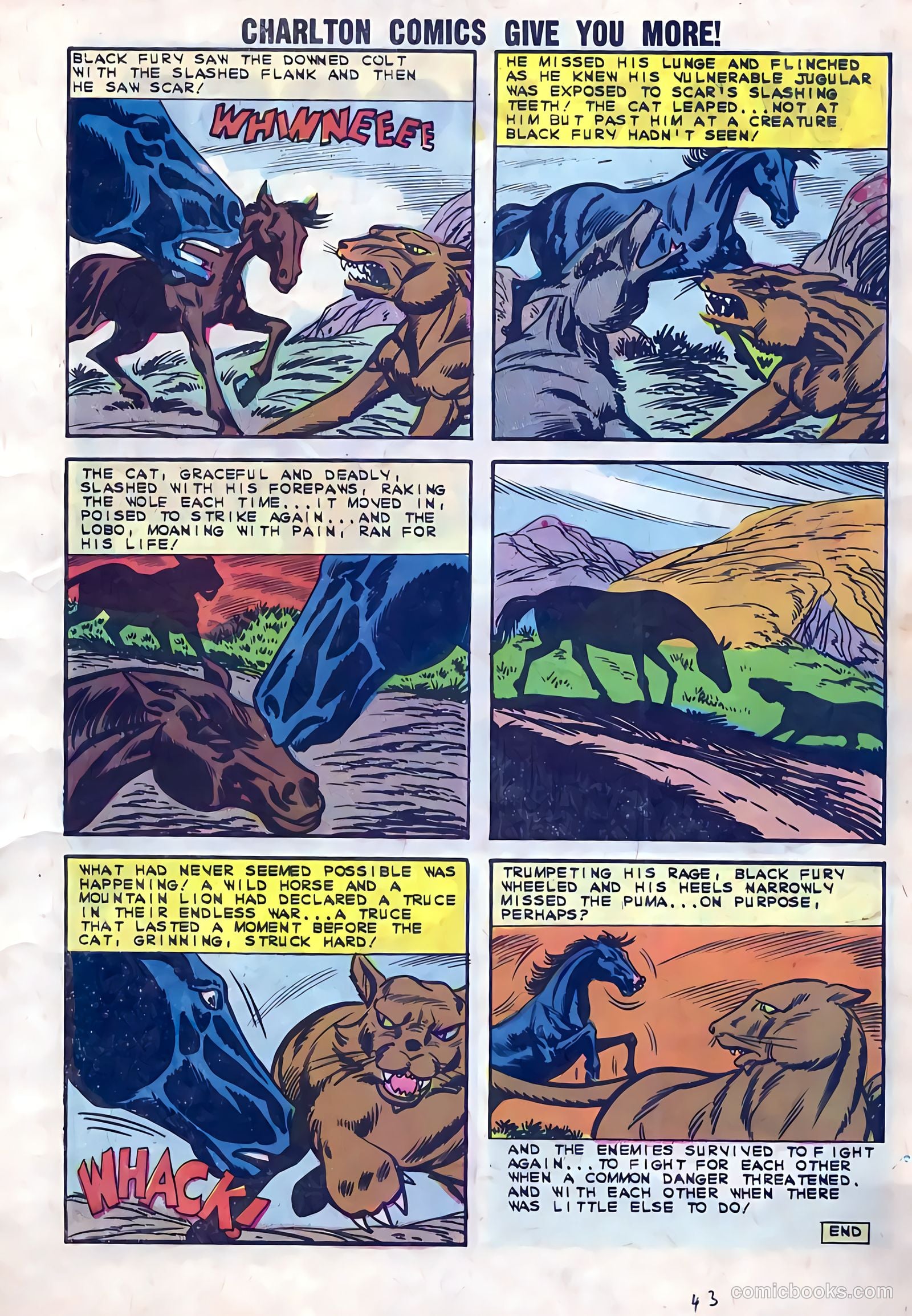 Black Fury #41 — page 7 of 36