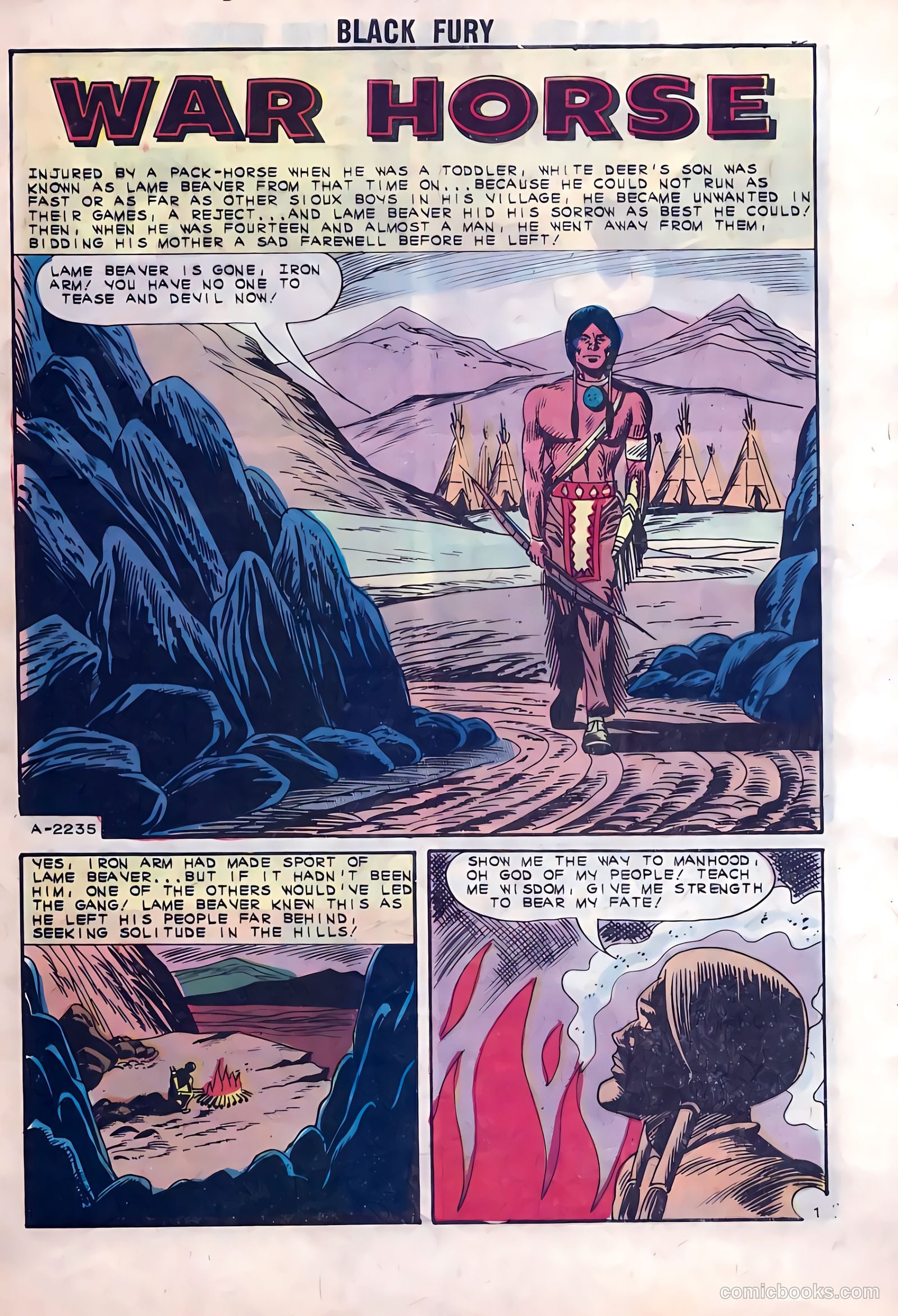 Black Fury #41 — page 8 of 36