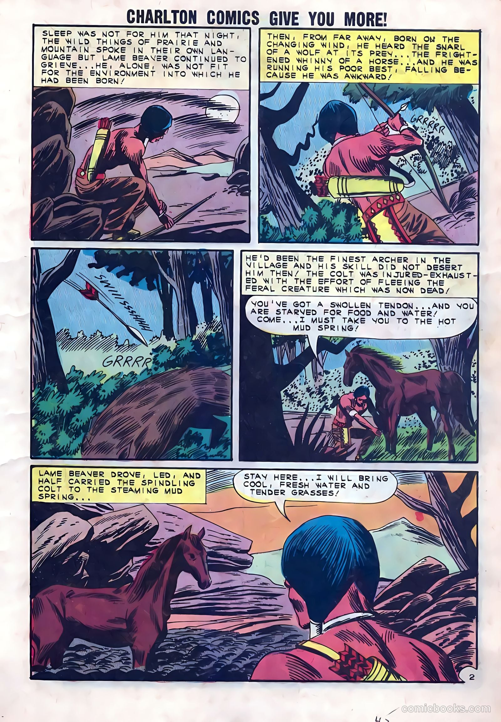 Black Fury #41 — page 9 of 36