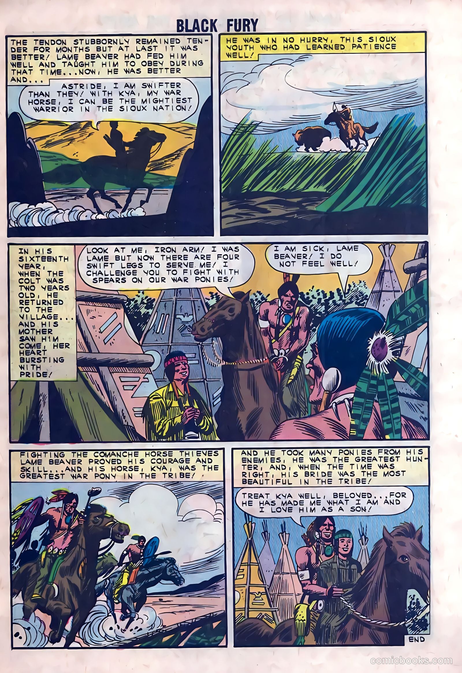 Black Fury #41 — page 10 of 36