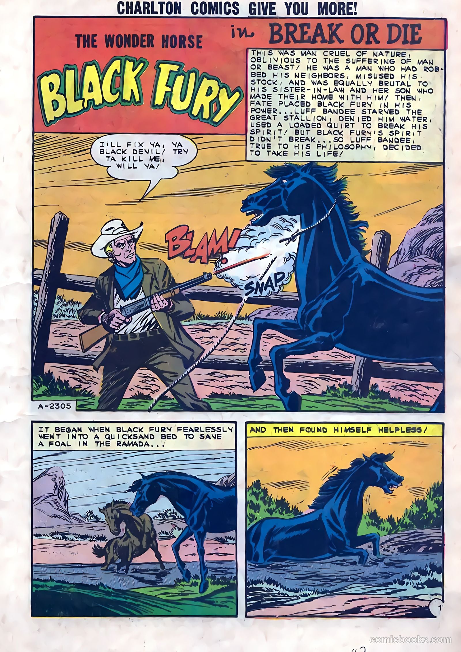 Black Fury #41 — page 11 of 36