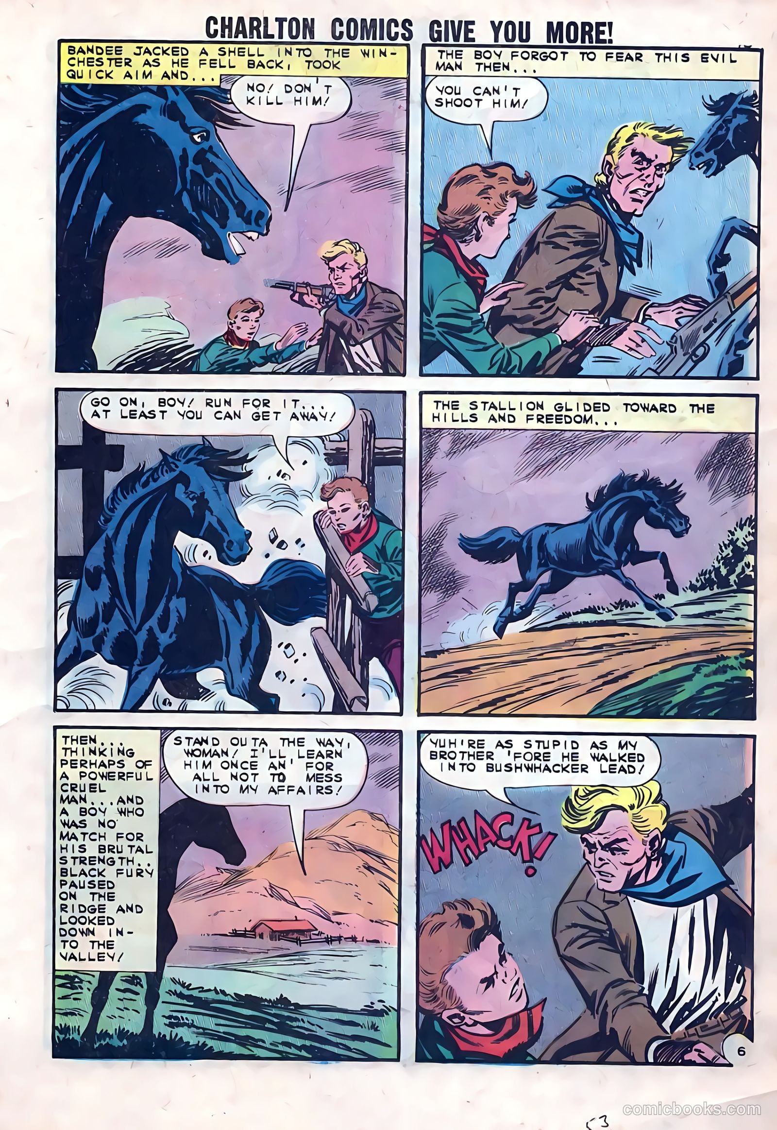 Black Fury #41 — page 17 of 36
