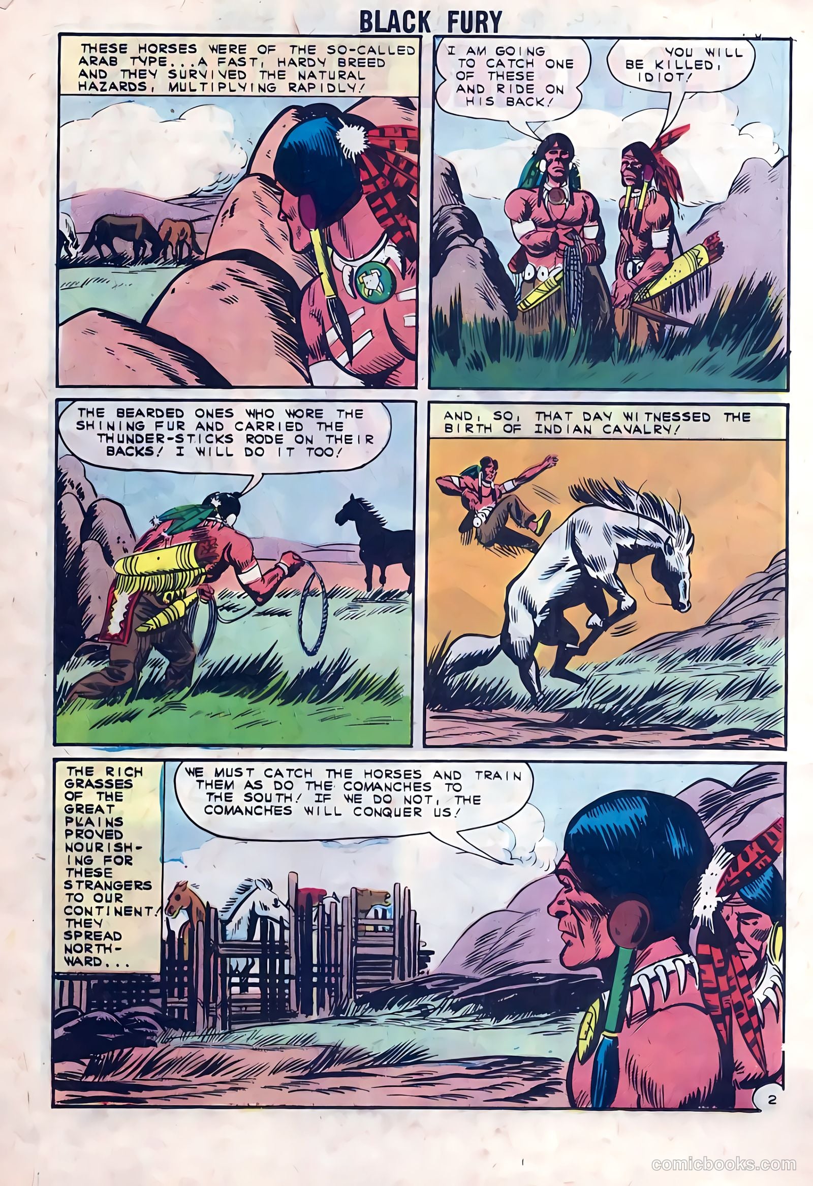 Black Fury #41 — page 20 of 36