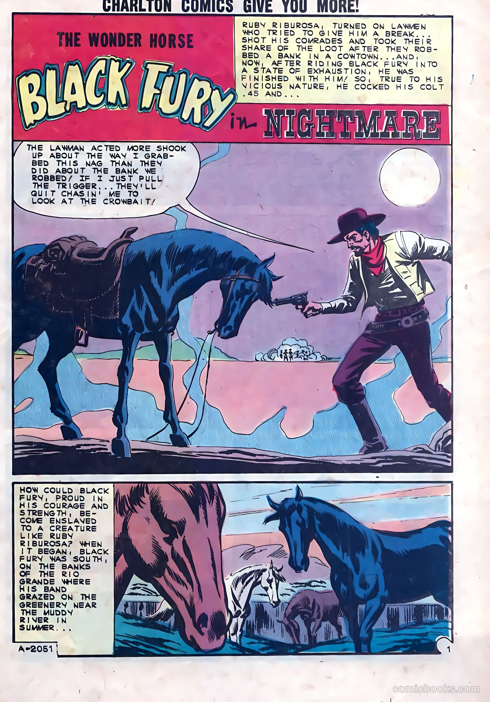 Black Fury #41 — page 25 of 36