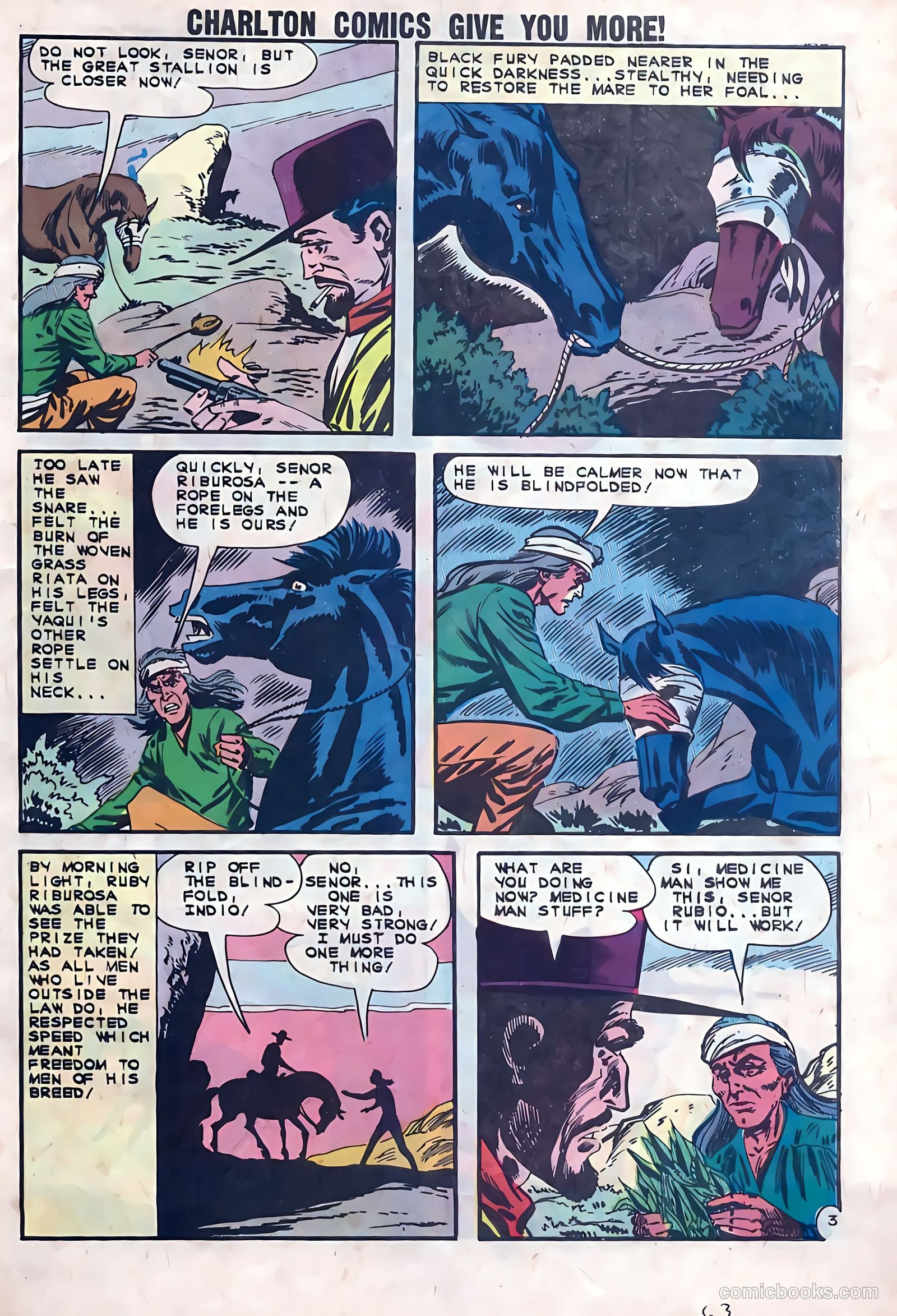 Black Fury #41 — page 27 of 36