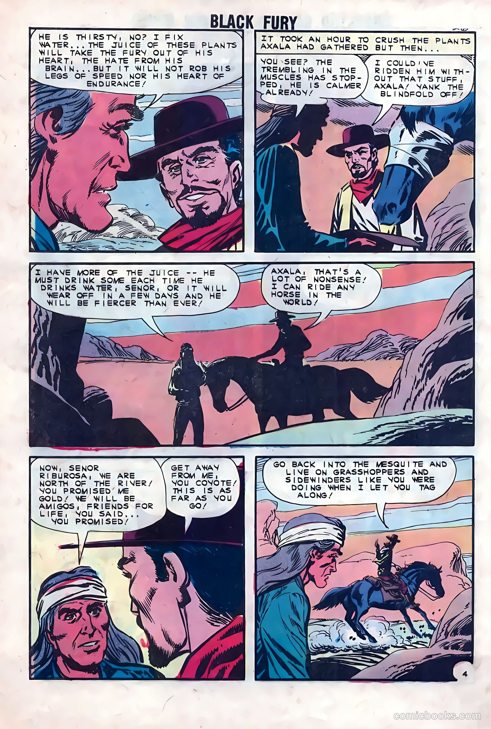 Black Fury #41 — page 28 of 36