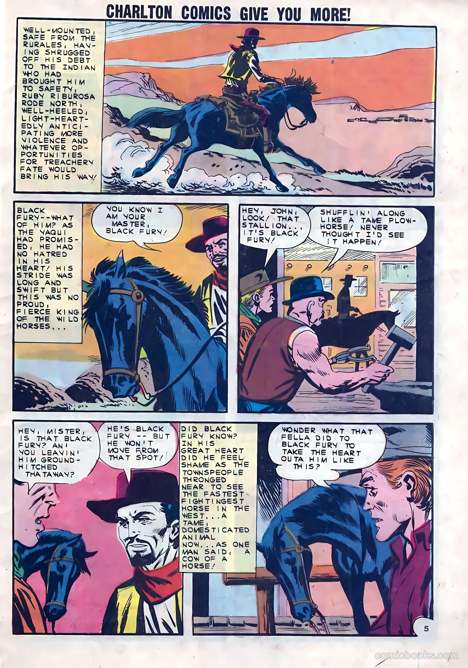 Black Fury #41 — page 29 of 36