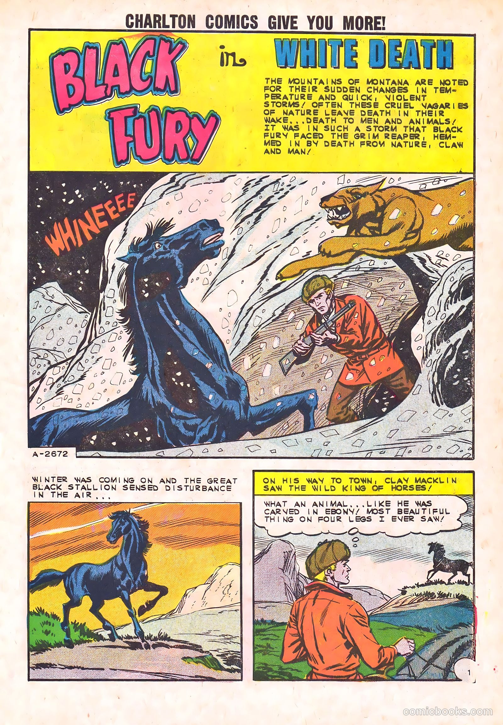 Black Fury #44 — page 3 of 36